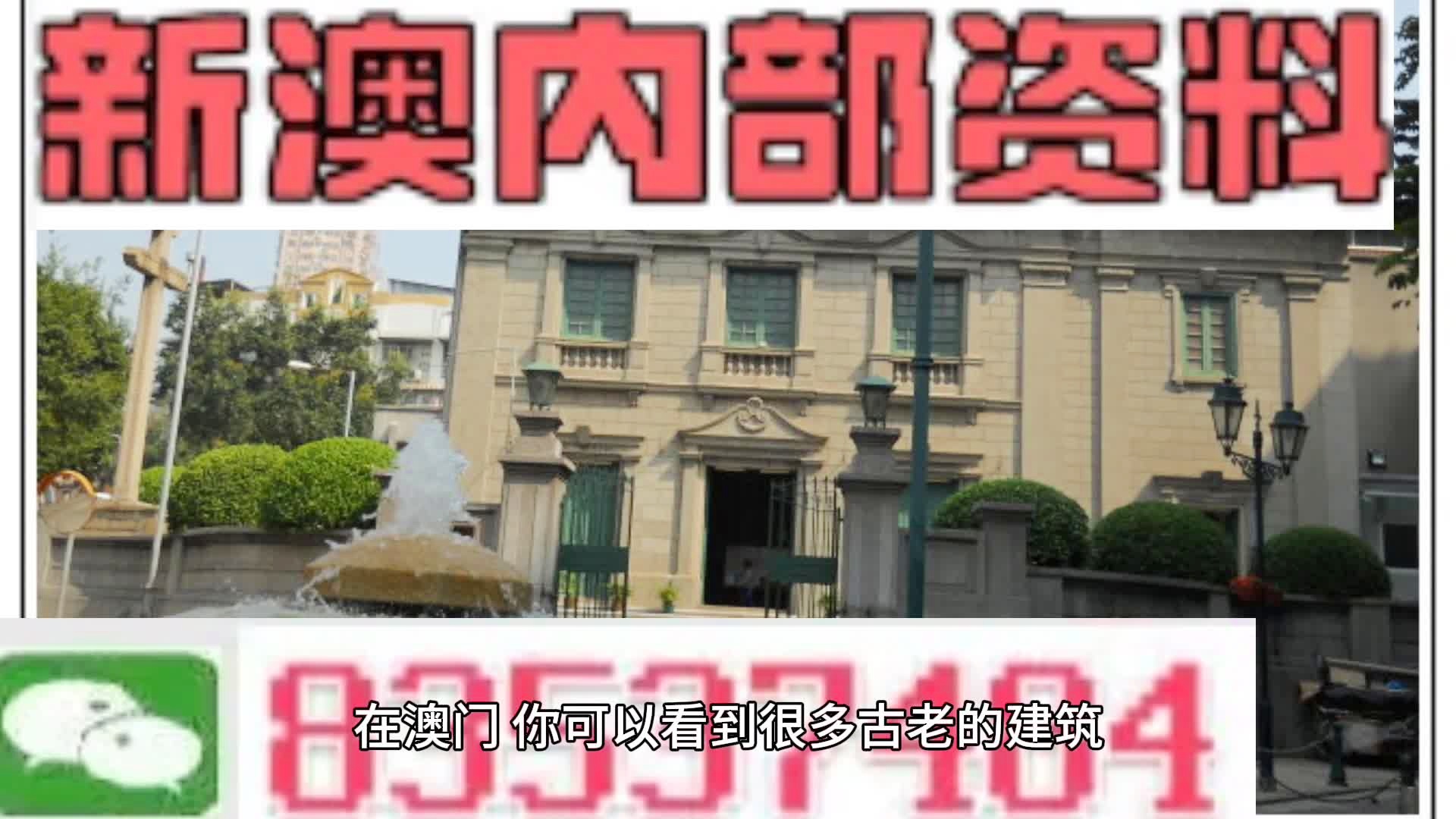新门内部免费资料大全,详细解答、解释与落实