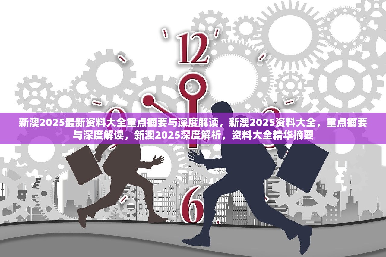 新澳2025最精准正最精准,详解释义、解释与落实