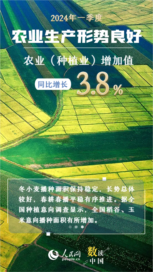 2024格斗地界最新一期