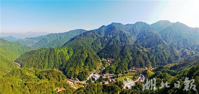 湖北省国有林场改革最新消息