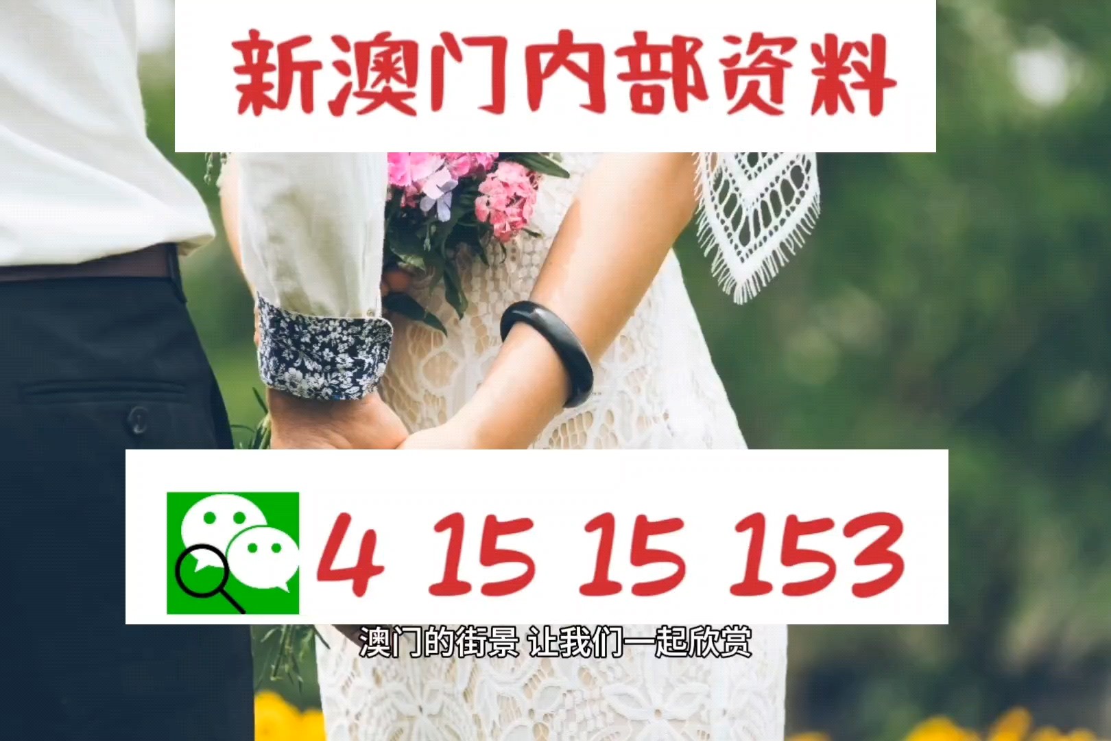 2025澳门正版免费资料，词语释义解释落实