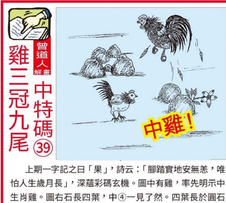 2025澳门正版资料大全，精选解析解释落实
