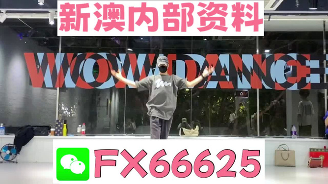 管家婆一码一肖，实用释义解释落实