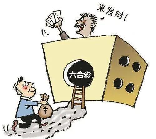 澳门香港开奖结果，精选解析解释落实